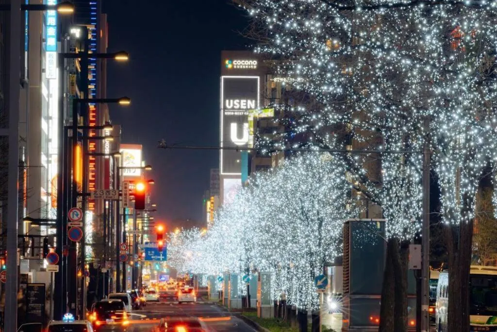Grace Apartment Sapporo